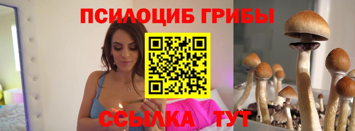 Псилоцибиновые грибы мухоморы Городец